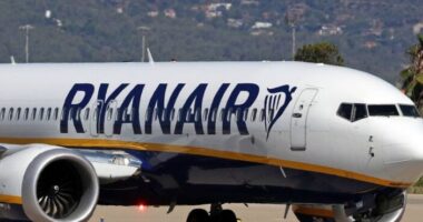 Közel 60 ezer eurót kap a Ryanair egyik utasa, csak mert a fejére esett egy sétabot