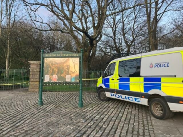 Emberi méhlepényre bukkantak egy parkban Nagy-Britanniában – keresik az anyát és a babát