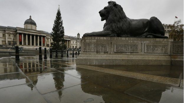 _82414896_lion
