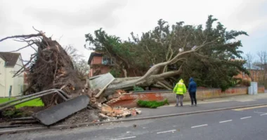 A Darragh vihar képekben: Kidőlt fák, összezúzott autók, árvíz és hatalmas hullámok szerte Nagy-Britanniában