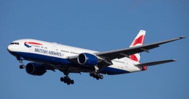 Bedrogozva meztelenül táncolt a British Airways egyik londoni járatán a légiutas-kísérő a vécében
