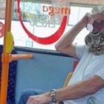 Élő kígyót használt szájmaszknak egy férfi a buszon Angliában