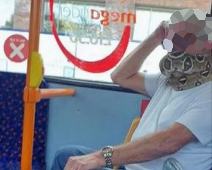 Élő kígyót használt szájmaszknak egy férfi a buszon Angliában