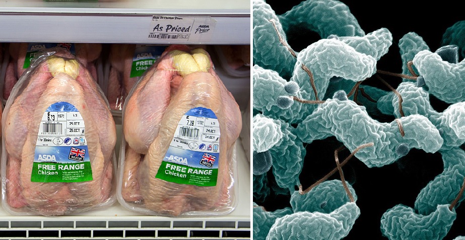 A bolti csirkehús 73%-a fertőzött Nagy-Britanniában 2