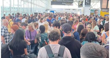 Hatalmas káosz az angliai magyarok által is rengeteget használt londoni repülőtéren egy áramszünet miatt