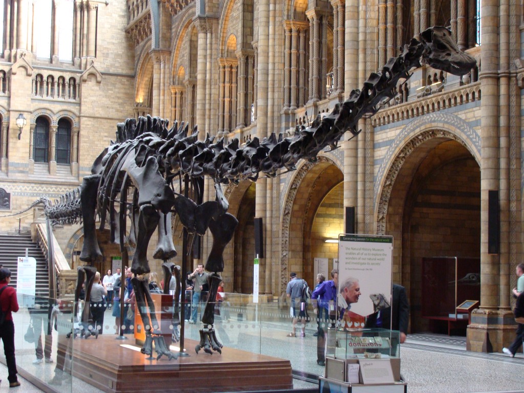 Diplodocus_(replica).001_-_London