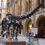 Lecserélik London híres dinoszauruszát a Természettudományi Múzeumban
