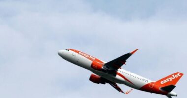 Kényszerleszállást hajtott végre a London Gatwick repülőtéren az EasyJet egyik járata „hidraulikus meghibásodás” miatt