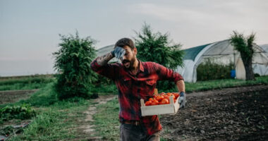 Nyilvánosságra hoztak egy jelentést az Egyesült Királyságban folyó modernkori rabszolgaságról, amelyet a Belügyminisztérium próbált titokban tartani - megdöbbentő adatok és vallomások Nyilvánosságra hoztak egy jelentést az Egyesült Királyságban folyó modernkori rabszolgaságról, amelyet a Belügyminisztérium próbált titokban tartani - megdöbbentő adatok és vallomások