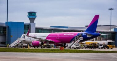 Újabb káosz: a wizzair egyik járatának utasai, köztük több tucat magyar több, mint 24 órára a lutoni reptéren rekedt a legnagyobb hőségben