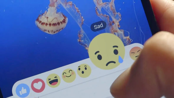 Facebook-Like-Button-Dislike-Button-Facebook-Social-Network-Reactions-Facebook-Reactions-Ireland-UK-Facebook-Reactions-UK-update-362372