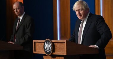 Boris Johnson tegnapi nyilatkozata az oltás, a karácsony és az új Covid hullám kapcsán 8