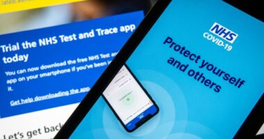 koronavírus mobil app