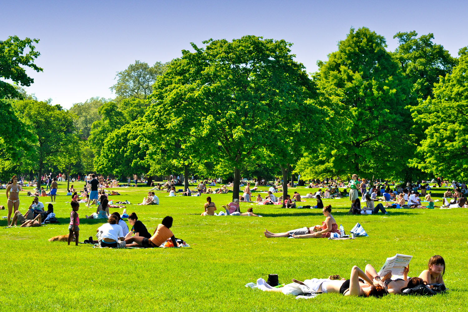 Crowds of people enjoying London's Hyde Park on a sunny summers day, UK