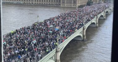 Hatalmas tüntetés, százezrek az utcán Londonban az Izrael-Palesztina konfliktus miatt és már a rendőrökkel is összecsapott a tüntetők egy csapata