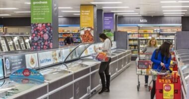 Az egyik legnagyobb szupermarket Nagy-Britanniában bejelentette, hogy fizetni fog a vásárlóknak a tolvajok lebuktatásáért - kapaszkodjatok meg...