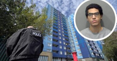 Hátborzongató bűncselekmény Lutonban: egész családját lemészárolta, majd iskolai vérengzést tervezett egy 18 éves fiatal