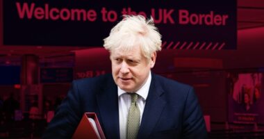 külföldi bevándorlók