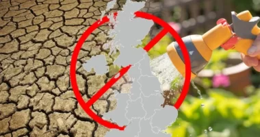 Hivatalosan is közzétették, mikortól lép érvénybe a vízhasználatra vonatkozó új korlátozás 15 millió ember számára Angliában