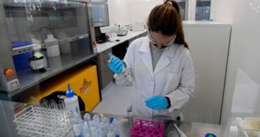 koronavírus vakcina oltás