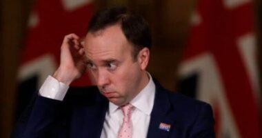 A brit egészségügyminiszter beismerte, hogy egy amerikai filmből merített ötletet az oltási stratégiához