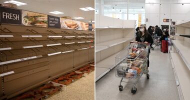 Újra pánikvásárlásba kezdtek az emberek Nagy-Britanniában a második hullám miatt