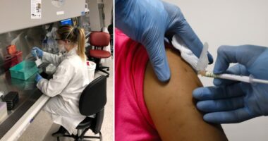 koronavírus oltás vakcina