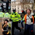 A rendőrség elkezdte letartóztatni a tüntetőket és a lockdown szabályait megsértőket Angliában