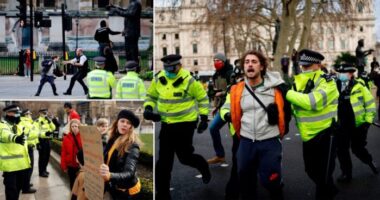 A rendőrség elkezdte letartóztatni a tüntetőket és a lockdown szabályait megsértőket Angliában