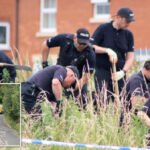 Közel 60-szor szúrtak meg egy mozgássérült kislányt egy dél-angliai parkban