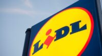 4000 új munkahelyet teremt és 220 új üzletet nyit a Lidl Nagy-Britanniában 2