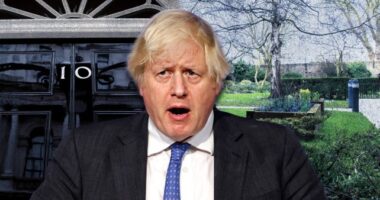 Kiszivárgott egy fotó, amin maga Boris Johnson is vidáman borozgat a beosztottjaival a lockdown kellős közepén 7