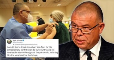 Lemond a Covid ellen folytatott küzdelem eddigi egyik kulcsszereplője is Nagy-Britanniában