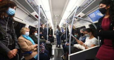 koronavírus otthonról dolgozni