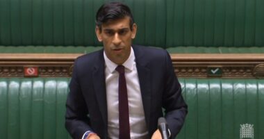 furlough támogatás