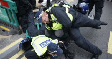A rendőrökre is rátámadtak a lockdown ellen tüntetők Londonban