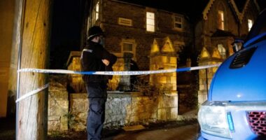 Újszülött csecsemő holttestére bukkant egy járókelő egy kertben Angliában