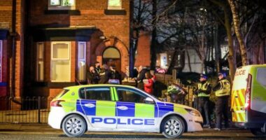 Fiatal lányt késeltek meg Londonban, és 3 másik holttestre bukkantak egy lakásban Manchesterben