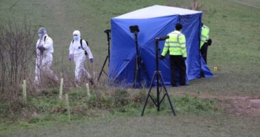 13 éves általános iskolások gyilkoltak meg egy autista kisfiút Dél-Angliában