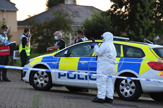 5 embert lőtt agyon egy férfi Dél-Angliában, majd magával is végzett 6