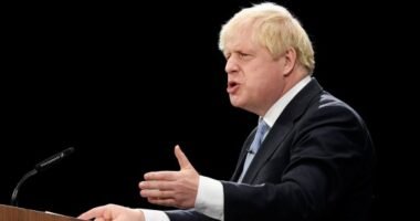 boris johnson minimálbér