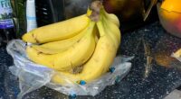 A világ legmérgezőbb pókját találta egy férfi a Sainsbury’s-es banánok közt Angliában 2