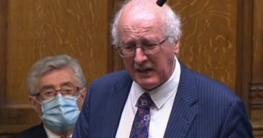 A parlamentben élő adásban sírta el magát az egyik képviselő a Boris Johnson körüli lockdown bulis botrány közepette