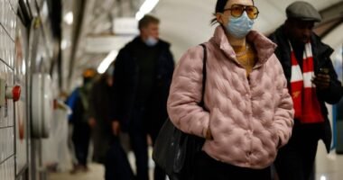 Az omicron variáns új változatát fedezték fel Angliában, ami még fertőzőbb: eddig ezt lehet tudni róla…