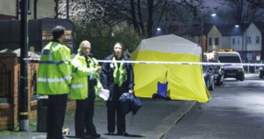 Egy 16 éves fiút halálra késeltek Manchesterben, 2 másik fiatalt pedig Londonban, az Oxford streeten a Selfridgesben szurkáltak össze