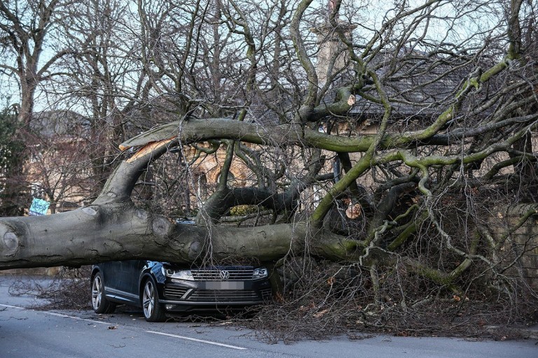 Már 2 halálos áldozata is van a Malik viharnak Nagy-Britanniában: tetőket tépett le, fákat csavart ki a brutális erejű szél 10