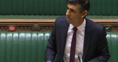 Ilyen lehetőségek és támogatások vannak az elbocsátottaknak és munkakeresőknek a járvány alatt Nagy-Britanniában