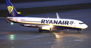 Pánik a fedélzeten - kiderült, mi történt a budapesti Ryanair járattal, ami kényszerleszállást hajtott végre, és mit éltek át az utasok