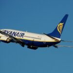 Két Ryanair-gép is madárral ütközött a budapesti repülőtéren