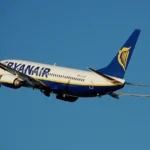 Két Ryanair-gép is madárral ütközött a budapesti repülőtéren